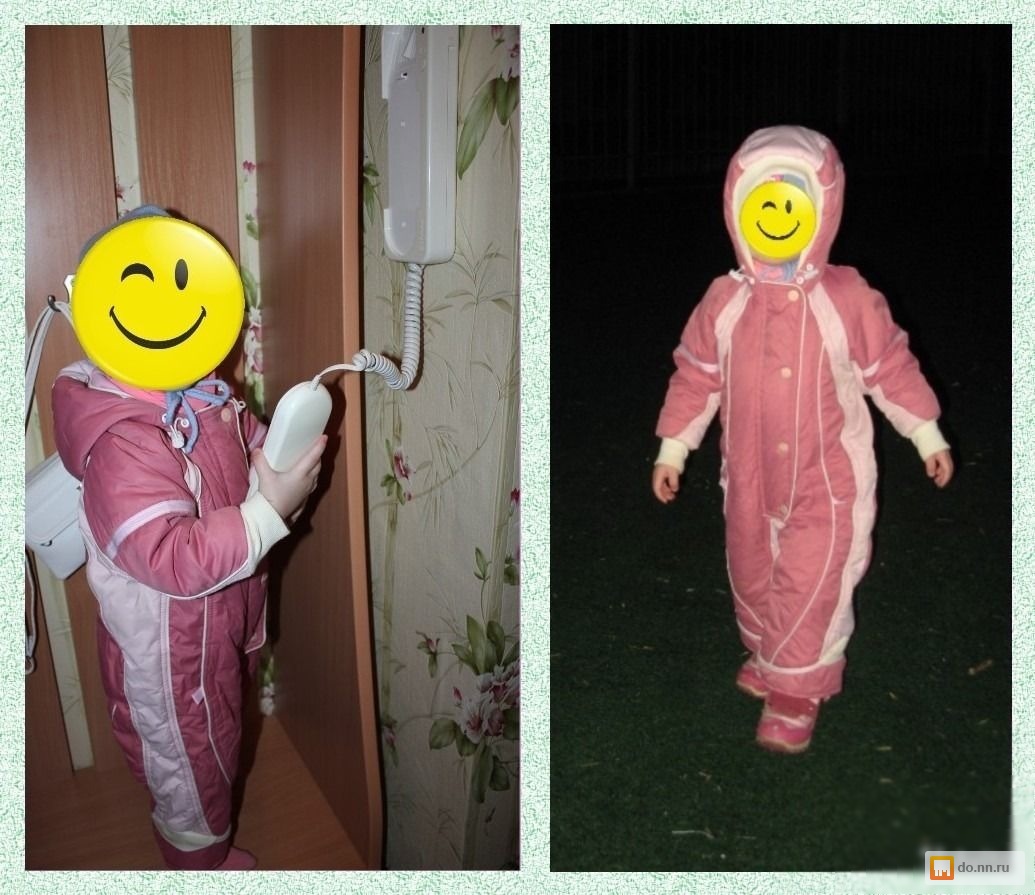 Сорт груши бере зимняя фото и описание сорта